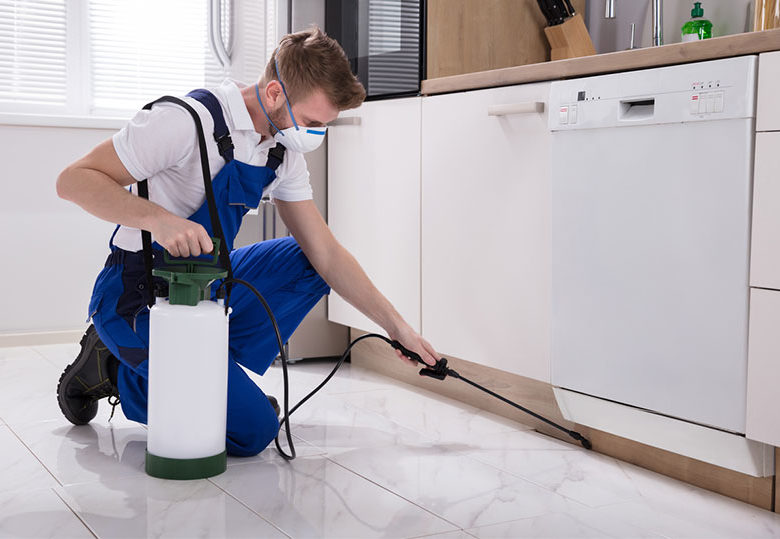 The Best Pest Controllers in Bega