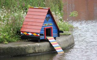 bird house 71299 960 720