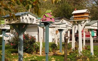 birdhouse 2147829 960 720