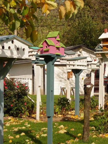 birdhouse 2147829 960 720