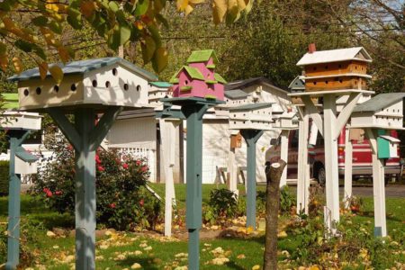 birdhouse 2147829 960 720
