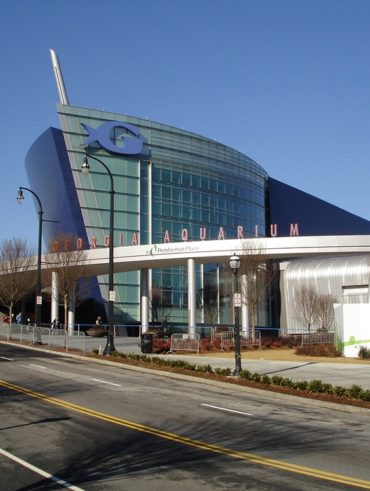 Georgia Aquarium min