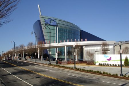 What Do Commercial Architects Do? 1 Georgia Aquarium min