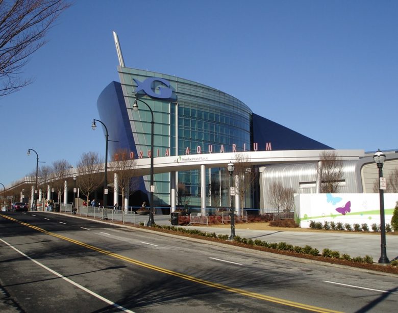 Georgia Aquarium min