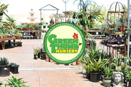 Find the Perfect Plants for Everyone 1 san marcos