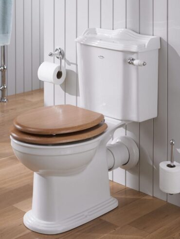 Clogged toilet with poop