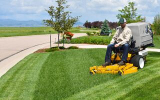 landscape maintenance