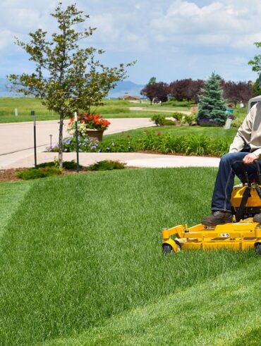 landscape maintenance