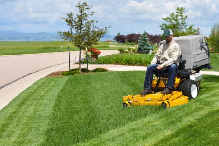 Things to Consider When Designing Your Landscape 1 landscape maintenance