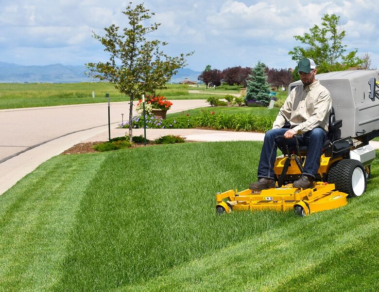 landscape maintenance