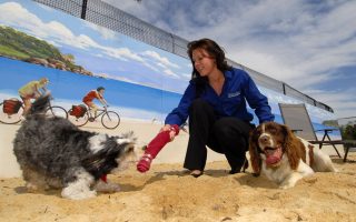 Hanrob Pet Hotels Heathcote Dog Boarding