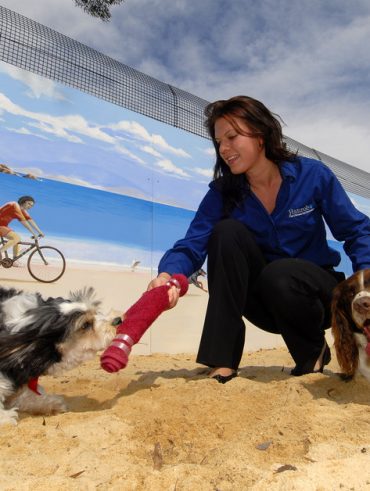 Hanrob Pet Hotels Heathcote Dog Boarding