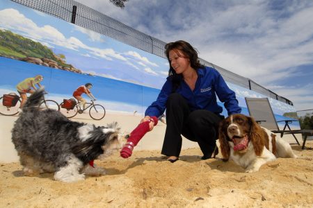 Hanrob Pet Hotels Heathcote Dog Boarding