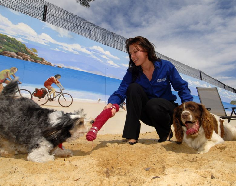 Hanrob Pet Hotels Heathcote Dog Boarding