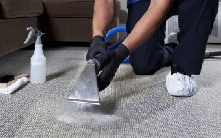 Carpet cleaning services