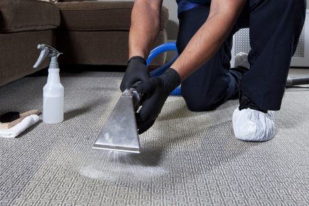 Health Benefits of Professional Carpet Cleaning 1 Carpet cleaning services