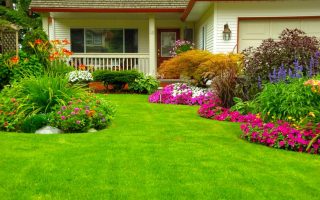 HomeLandscaping