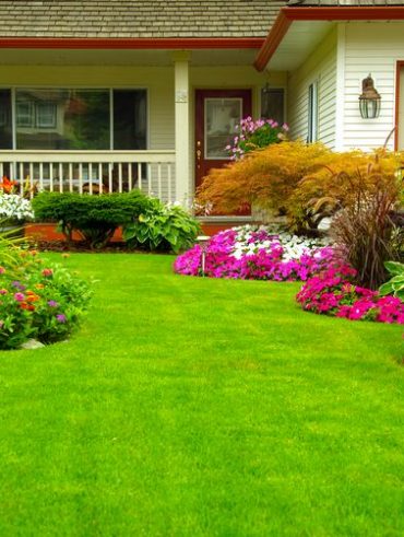 HomeLandscaping