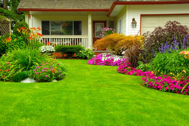HomeLandscaping