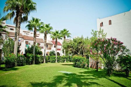 Benefits Of Buying A Luxury Investment House 1 palm trees 1405945 960 720