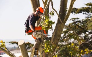 istockphoto 1131581722 612x612 1
