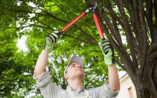 Smokymountaintreeservice