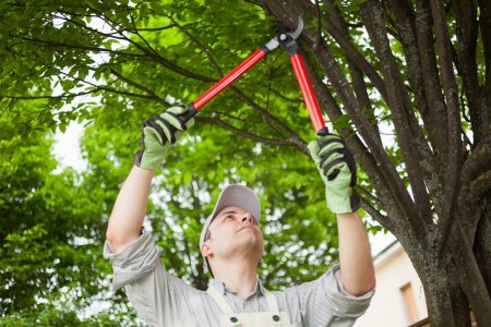 Smokymountaintreeservice