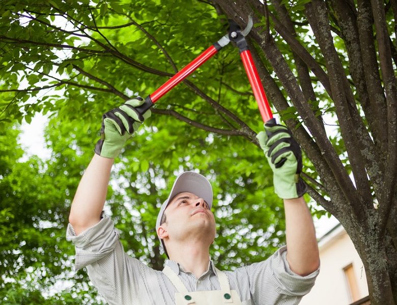 Smokymountaintreeservice