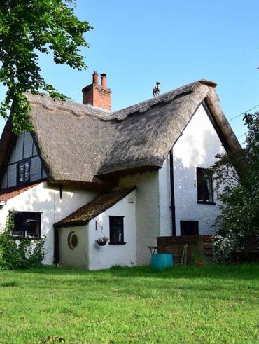 A charming cottage with a thatched roof surrounded by greenery.
