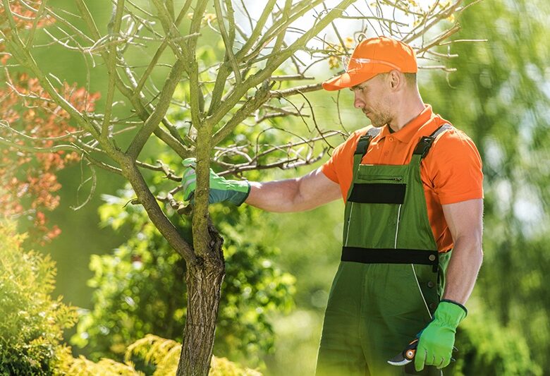 treecareprofessional